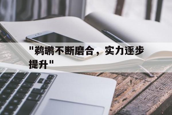 开云官方-包含&quot;鹈鹕不断磨合，实力逐步提升&quot;的词条