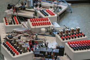 开云体育APP下载-运营管理：俱乐部数字化转型的成功经验，俱乐部赛事运营