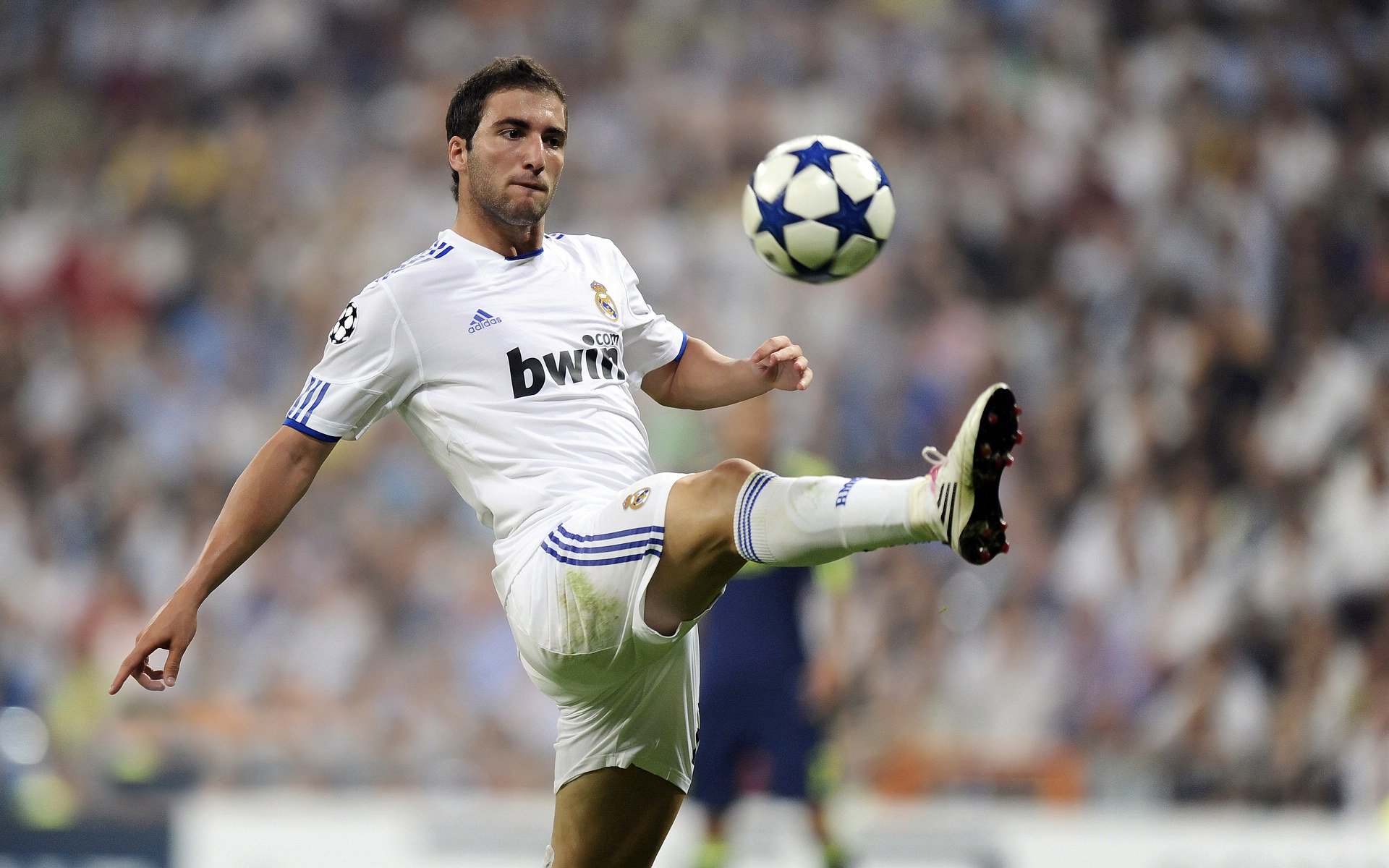 詹姆斯·奥康纳的精准罚球,帮助袋鼠队锁定胜局,詹姆斯奥尔